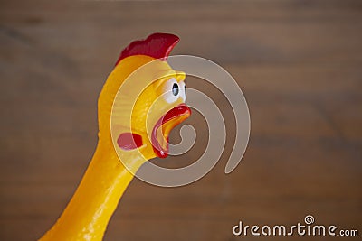 Image of toy rubber chicken Stock Photo