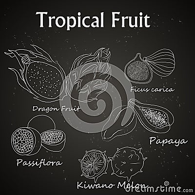image of tropical fruits drawn on the chalkboard Cartoon Illustration