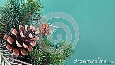 twig with pine cones background Stock Photo