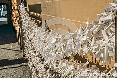 Image of Ueno Park,Shinobazunoike Editorial Stock Photo