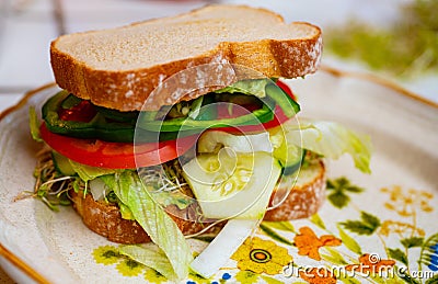 Image of a vegetable sandwich itâ€™s healthy and vegan. Stock Photo