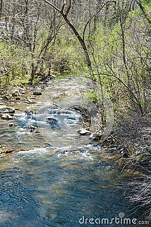 A view of a Wild Mountain Trout Stream Stock Photo