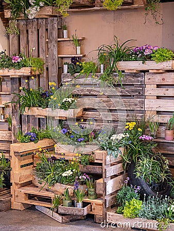 Image of wooden wall with wood boxes full of beautiful colorful flowers. decoration Stock Photo