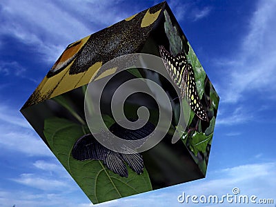 Images of cubes hover in the air Stock Photo