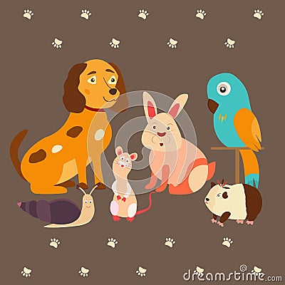 Images of domestic animals cat, parrot, dog, snail, rabbit, guinea. Can be used for pet shops, clinics, food advertising Vector Illustration