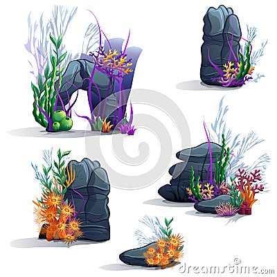 Images of sea stones with algae Vector Illustration