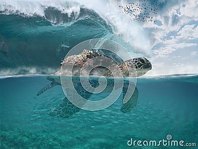 Imaginary fictional dreamy sea landscape with a sea turtle getting Castelsardo town to safety. Big tzunamy wave. Underwater scene Stock Photo