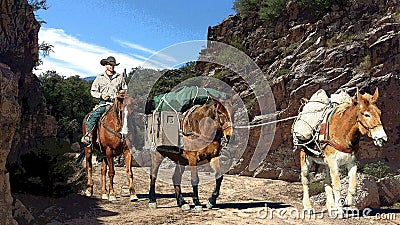 Fantasy illustration of a cowboy with his pack mules. Stock Photo