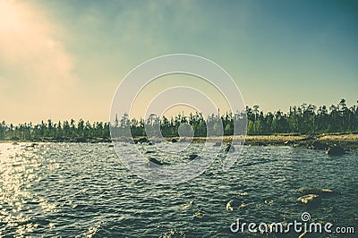 Imandra Lake and Tundra forest Northern Landscape moody scenery Stock Photo