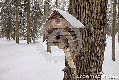 Birdhouse in cold winter forest Stock Photo