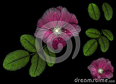 Imitation embroidery rose hip collage on black background Vector Illustration