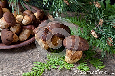 Imleria Badia or Boletus badius mushrooms commonly known as the bay bolete and clay plate with mushrooms on vintage wooden Stock Photo