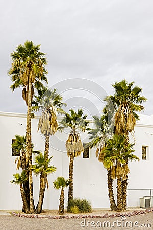 Immaculate Conception Church, Ajo, Arizona, USA Stock Photo