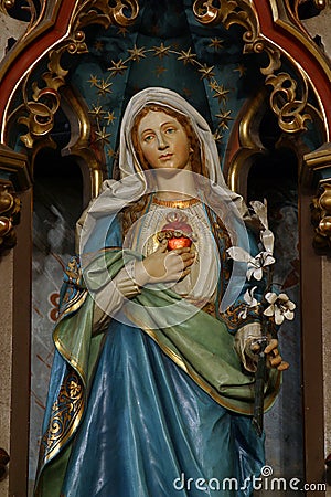 Immaculate Heart of Mary Stock Photo