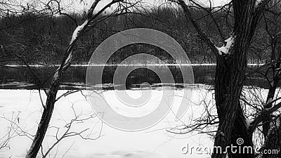 Ephemeral Frost: Monochrome Symphony Along the Winter Rivulet Stock Photo