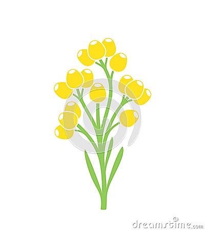 Immortelle logo. Isolated immortelle on white background Vector Illustration