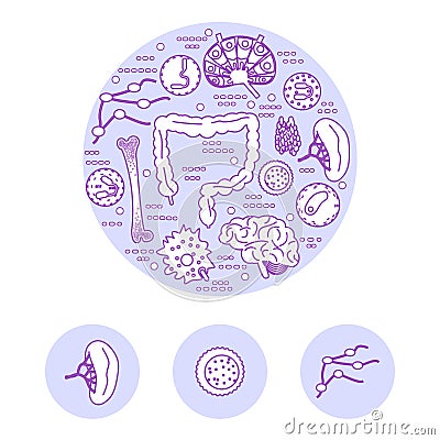 Immune system icon set Vector Illustration