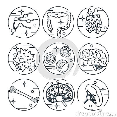 Immune system icon set Vector Illustration