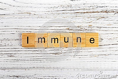 IMMUNE word made with wooden blocks concept Stock Photo