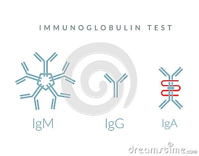 Immunoglobulin Test - Complex Protein - Icon Vector Illustration