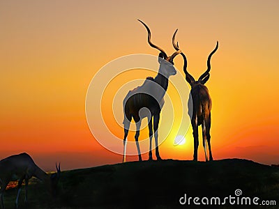 Impala Antelopes, Africa Sunset Stock Photo