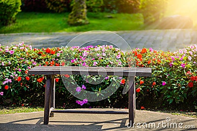 Impatiens Walleriana Sultanii Busy Lizzie Flowers, Large Detailed , Magenta, Purple, Red, Pink Stock Photo