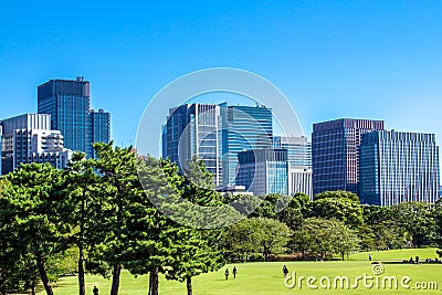 Imperial Palace East Gardens in Tokyo, Japan Stock Photo
