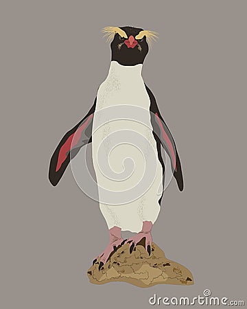 Imperial penguin standing on the rock in full size. Isolated South pole inhabitant and great underwater swimmer. Vector Illustration