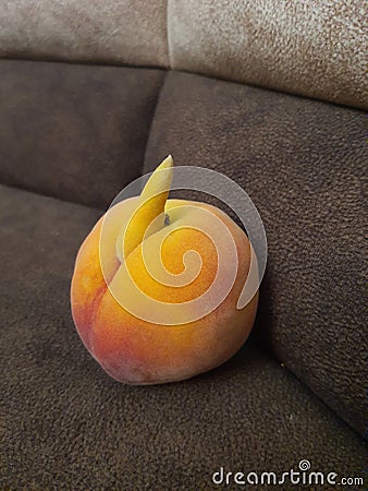 Impolite Peach Stock Photo