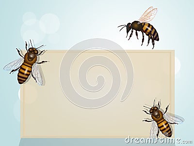 The importance of bees for the planet Stock Photo