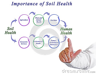 Importance of Soil Health Stock Photo