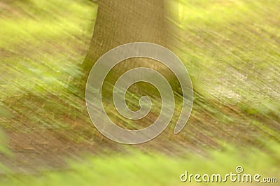 Impressionist Tree Trunk Stock Photo