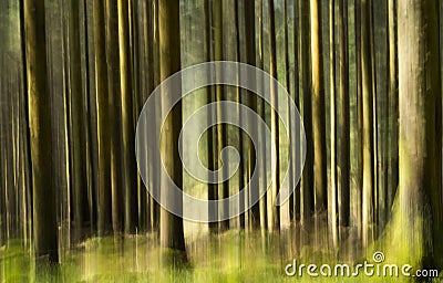 Impressionistic Forest Stock Photo