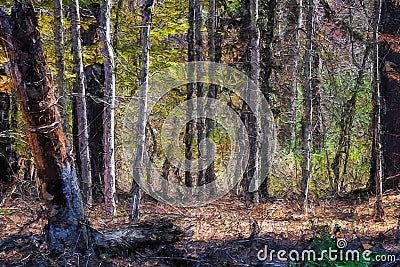 Impressionistic Style Artwork of Autumn Colors Hidden Deep in the Green Forest Stock Photo