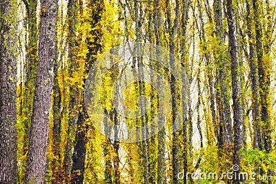 Impressionistic Style Artwork of Autumn Colors Hidden Deep in the Green Forest Stock Photo
