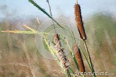 Impressionistic Style Artwork of Three Tall Cattails Waving in the Autumn Marsh Breeze Stock Photo