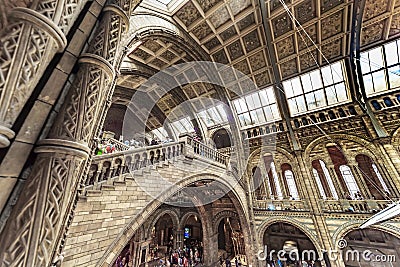 Impressive architectural details,inside London's Natural History Museum Editorial Stock Photo