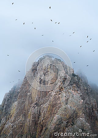 Impressive landscape of cloudy mountain with vultures circling around the top Stock Photo