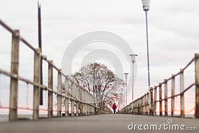 Impressive scene of a pier at sunrise and a person walking and a tree in the background, in Buenos Aires, Argentina Stock Photo