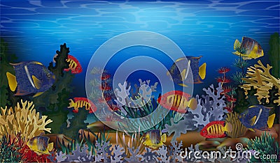 Underwater tropical background, vector Vector Illustration