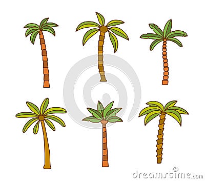 Variety of Palm Tree set Vector Illustration