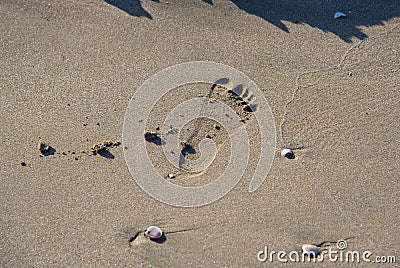 Imprint of a children`s foot Stock Photo