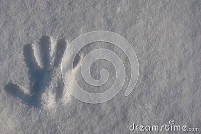 The imprint of children`s hands on the white snow Stock Photo