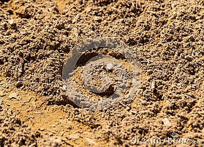 The imprint of a horse hoof in the sand Stock Photo