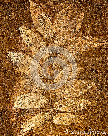 The Imprint leaf Stock Photo