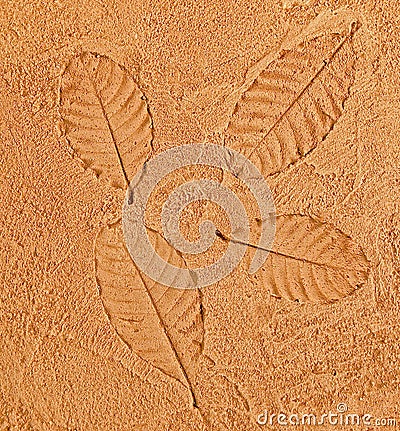 The Imprint leaf on cement floor Stock Photo