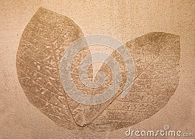 Imprint leaf Stock Photo