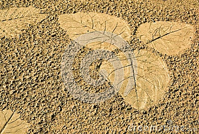 The Imprint leaf on cement floor background,ground texture background Stock Photo