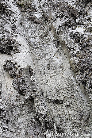 The imprint of a tire in thick clay Stock Photo