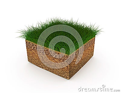 The improvement of the soil, arrangement of lawns, illustration a raster Stock Photo